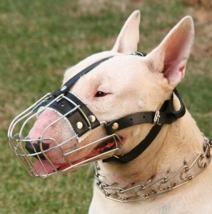 Строгий ошейник парфорс «Professional Dog Training» для бультерьера